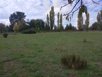 Venta / Terreno / Temuco