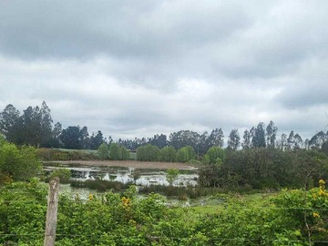 Venta / Terreno / Temuco