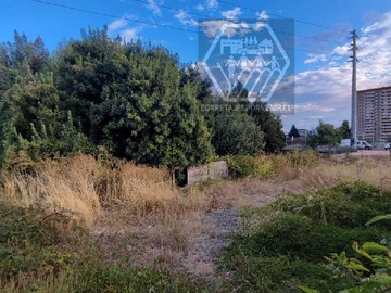 Venta / Terreno / Temuco