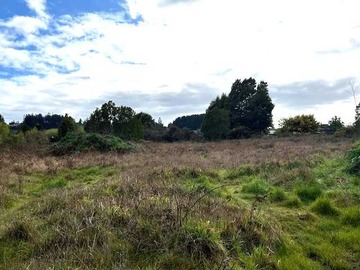 Venta / Terreno / Temuco