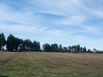 Venta / Terreno / Temuco