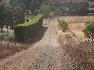 Imagen 8