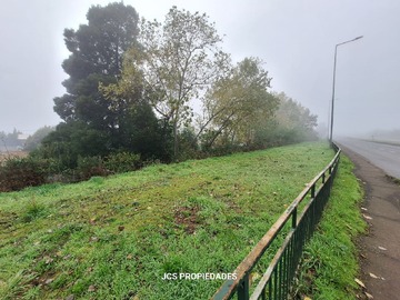 Imagen 9