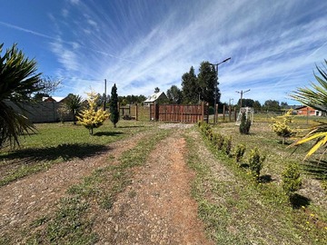 Imagen 21