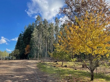 Venta / Terreno / Temuco