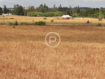 Imagen 6
