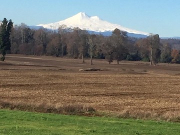 Venta / Terreno / Temuco