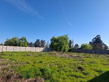 Venta / Terreno / Teno