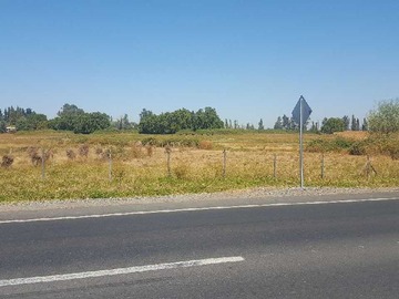 Venta / Terreno / Teno