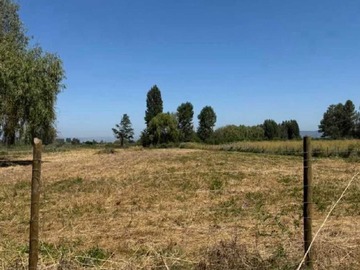 Venta / Terreno / Teno