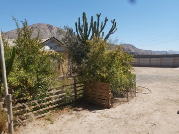 Venta / Terreno / Tierra Amarilla