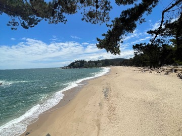 Venta / Terreno / Tomé