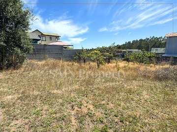 Venta / Terreno / Tomé