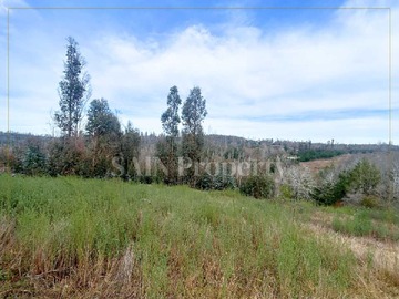 Venta / Terreno / Tomé