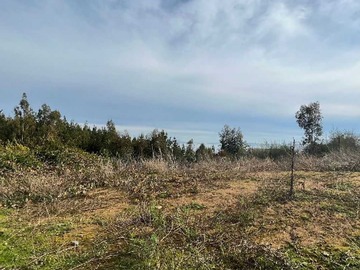 Venta / Terreno / Tomé