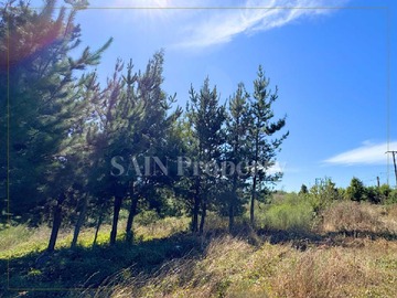 Venta / Terreno / Tomé