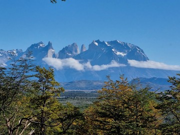 Venta / Terreno / Torres del Paine