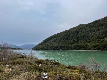 Venta / Terreno / Tortel