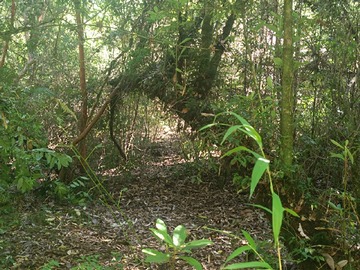 Imagen 9