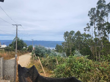Venta / Terreno / Valdivia