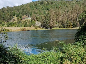 Venta / Terreno / Valdivia