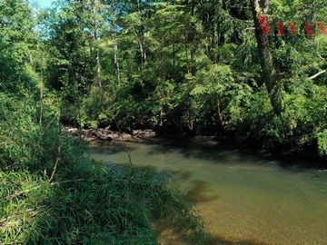 Venta / Terreno / Valdivia
