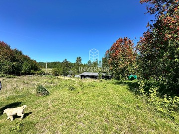 Venta / Terreno / Valdivia