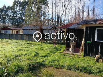 Imagen 7
