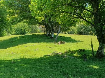 Imagen 9