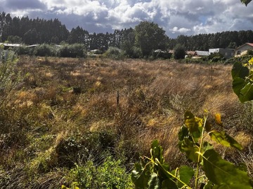 Venta / Terreno / Valdivia