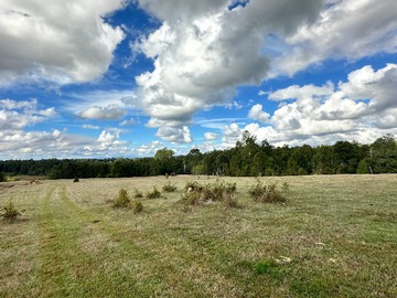 Venta / Terreno / Valdivia