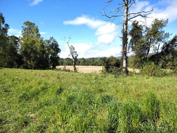 Venta / Terreno / Valdivia