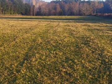 Venta / Terreno / Valdivia