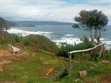 Venta / Terreno / Valdivia