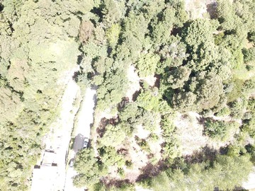Venta / Terreno / Valdivia