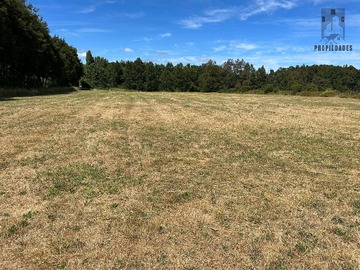 Venta / Terreno / Valdivia