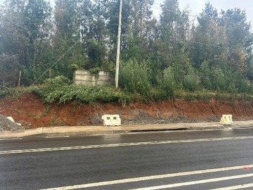 Imagen 6