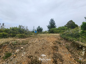 Parte Alta Parcela