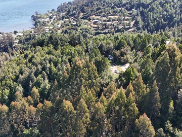 Venta / Terreno / Valdivia