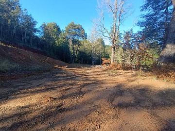 Venta / Terreno / Valdivia