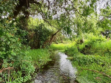 Venta / Terreno / Valdivia