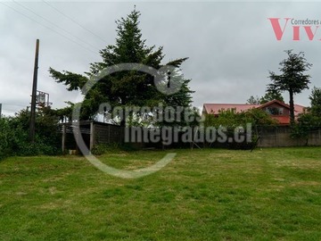 Imagen 10