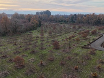 Venta / Terreno / Valdivia