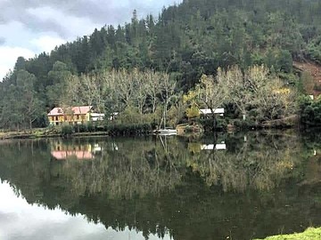 Venta / Terreno / Valdivia