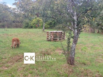 Venta / Terreno / Valdivia