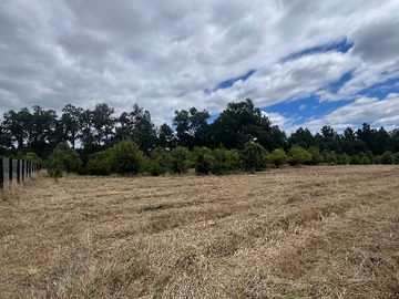 Venta / Terreno / Valdivia