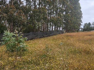 Venta / Terreno / Valdivia