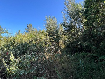 Venta / Terreno / Valdivia