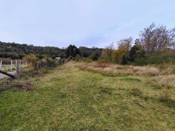 Venta / Terreno / Valdivia