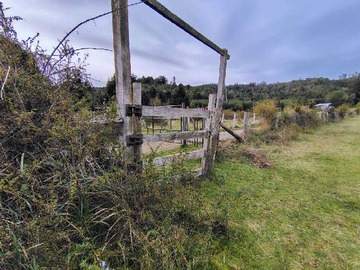 Venta / Terreno / Valdivia